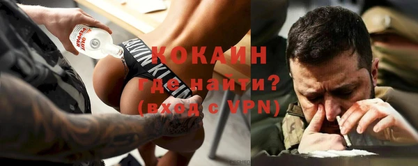 шишки Беломорск