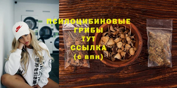 шишки Беломорск