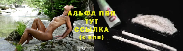 шишки Беломорск