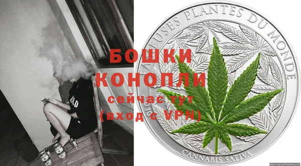 шишки Беломорск