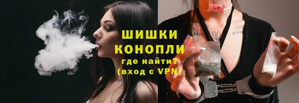 шишки Беломорск