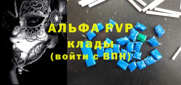 шишки Беломорск