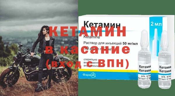 шишки Беломорск