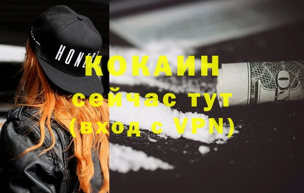 шишки Беломорск