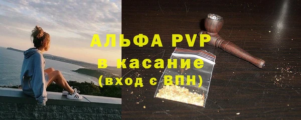 шишки Беломорск
