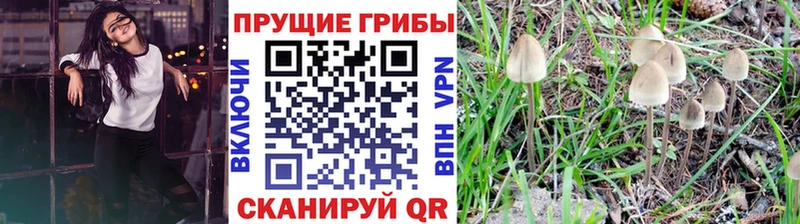 Галлюциногенные грибы MAGIC MUSHROOMS  Волоколамск 